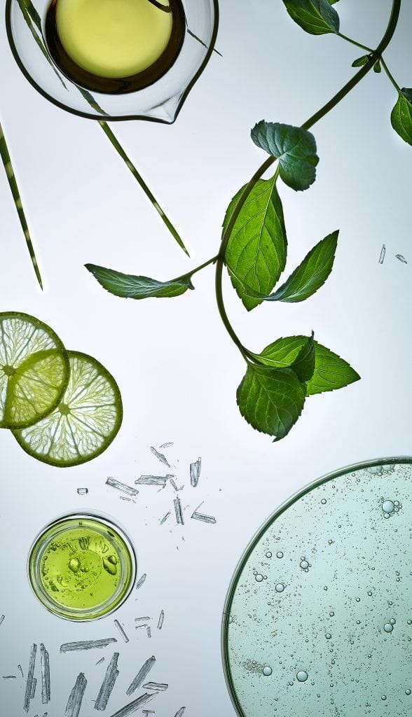 Healthy food ingredients